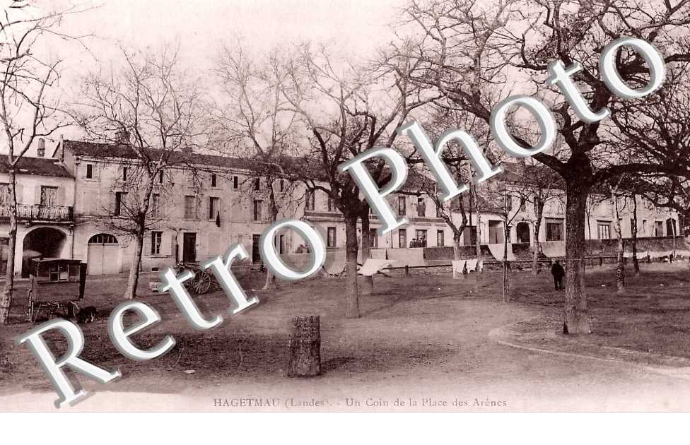 un coin de la Place des Arènes