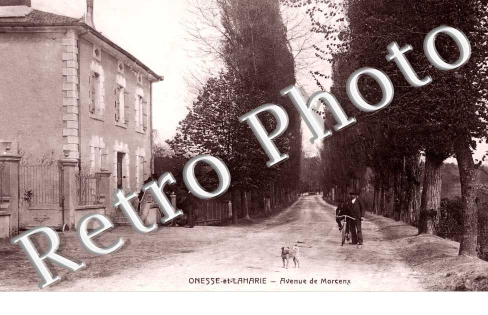 Avenue de Morcenx