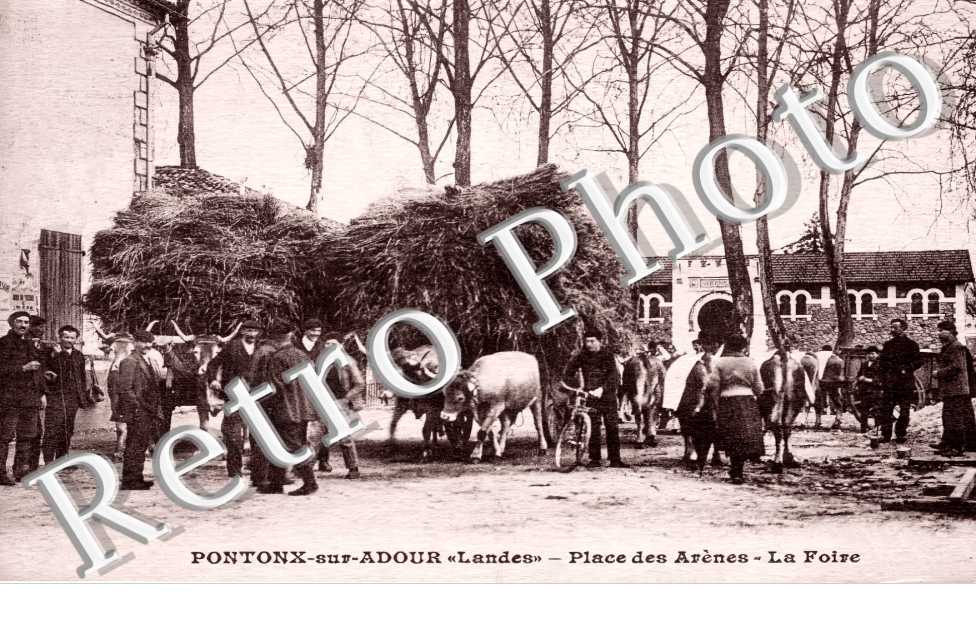 Place des Arènes. La Foire