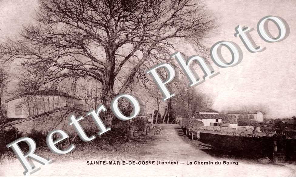Le chemin du bourg