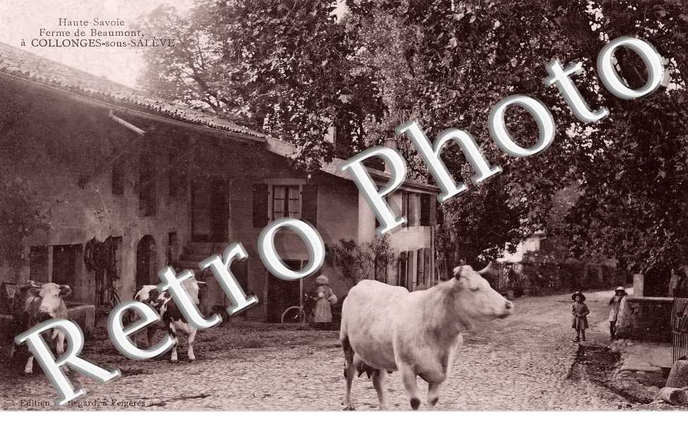 Ferme de Beaumont