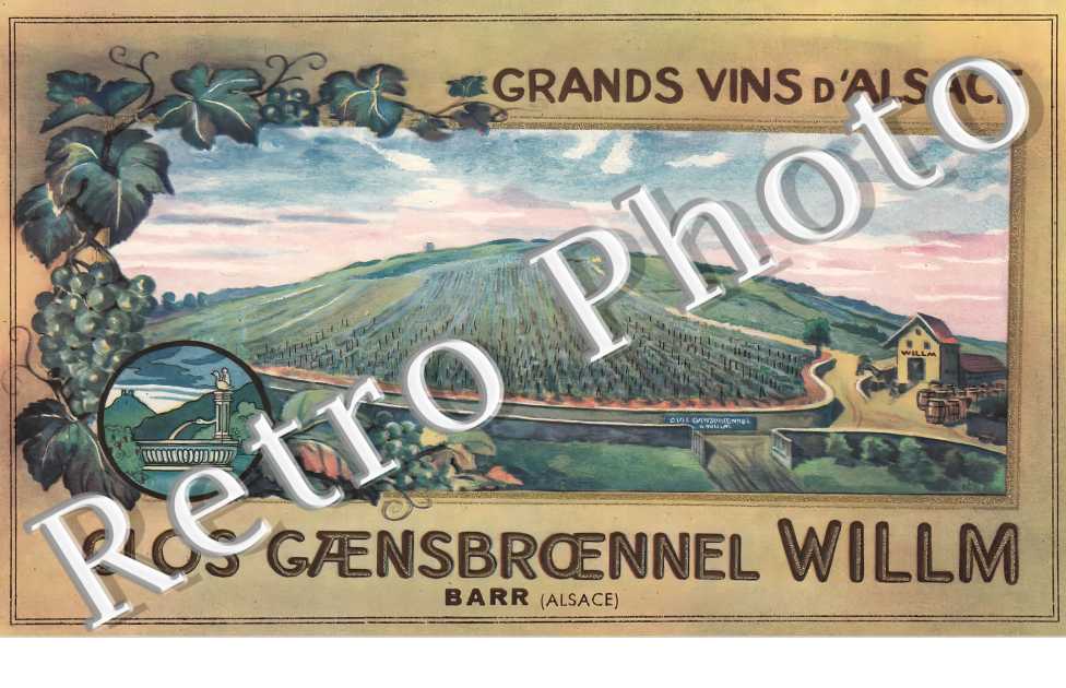 Grands Vins d&#039;Alsace. Clos Gaensbroennel Willm