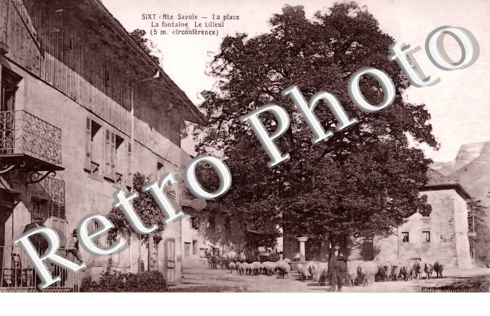 La place. La fontaine. Le tilleul