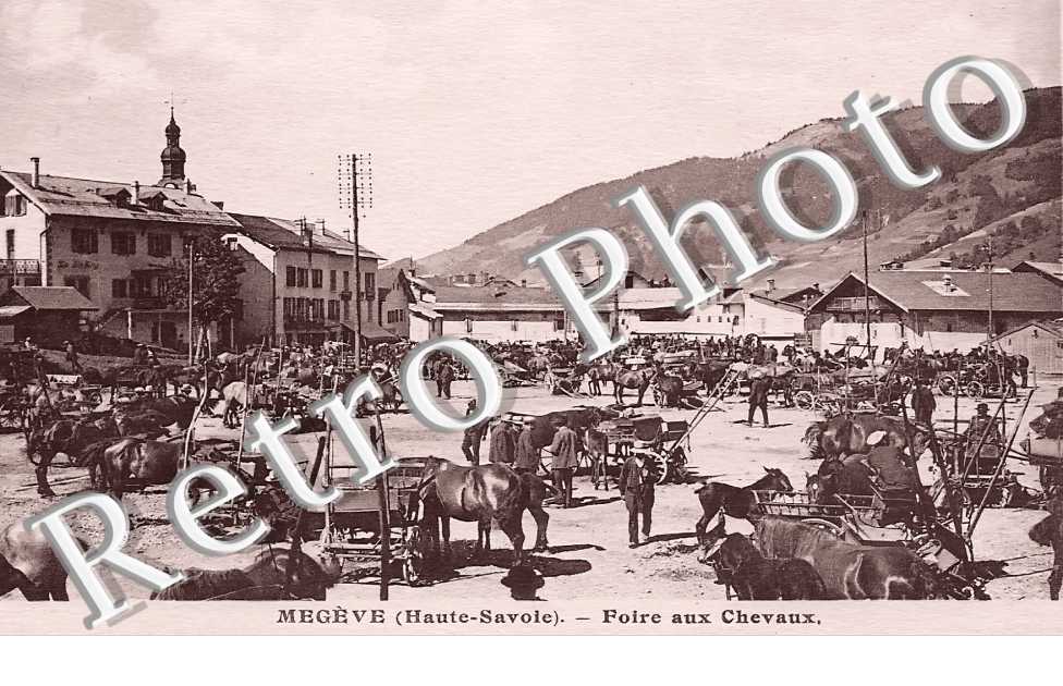 Foire aux chevaux