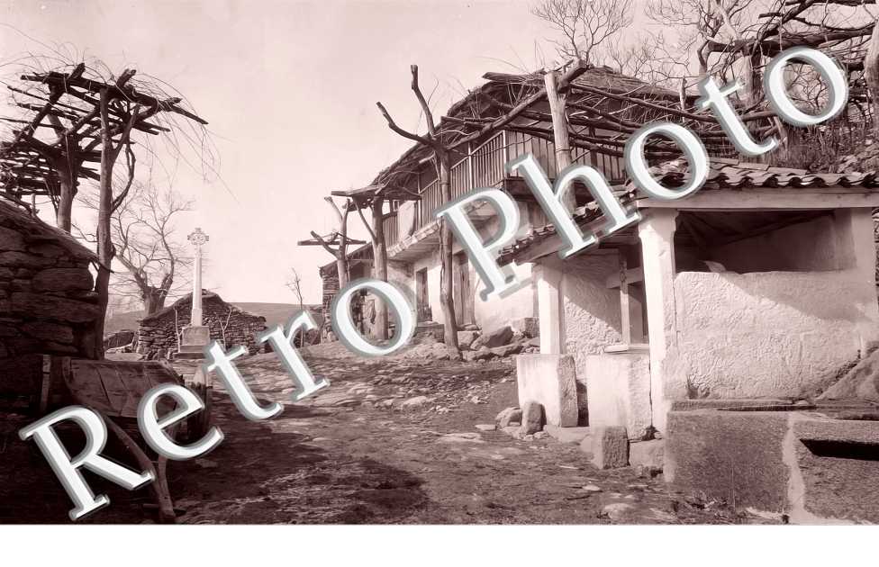 CARVALHELHOS 