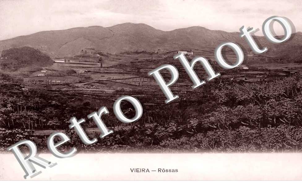 Rossas