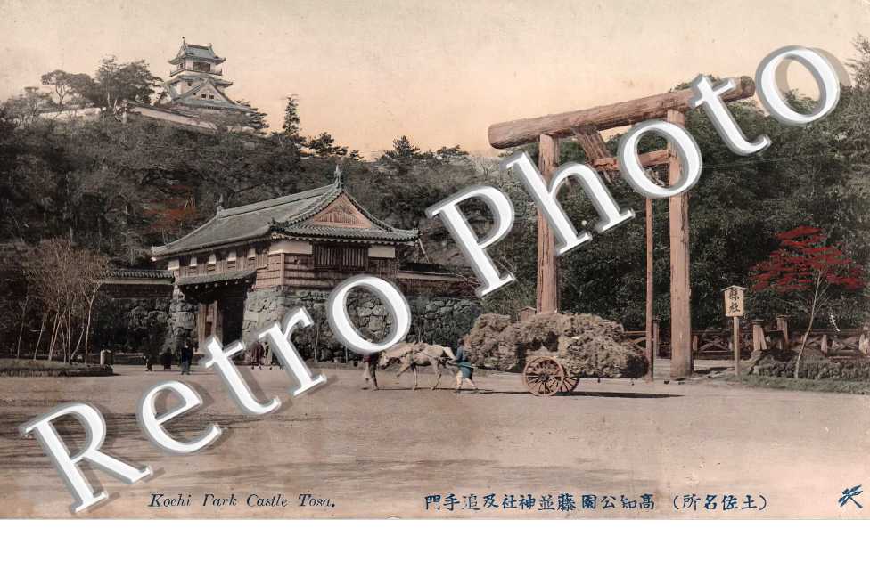 Kochi Park Castle Tosa