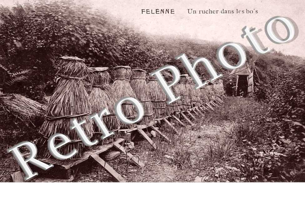 FELENNE un rucher dans les bois