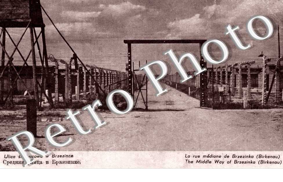 La rue médiane de Brzezinka (Birkenau)