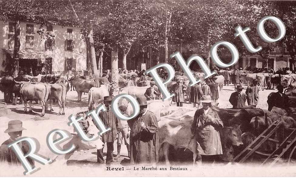 Le Marché aux Bestiaux