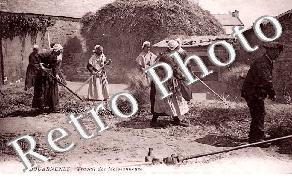 Travail des Moissonneurs