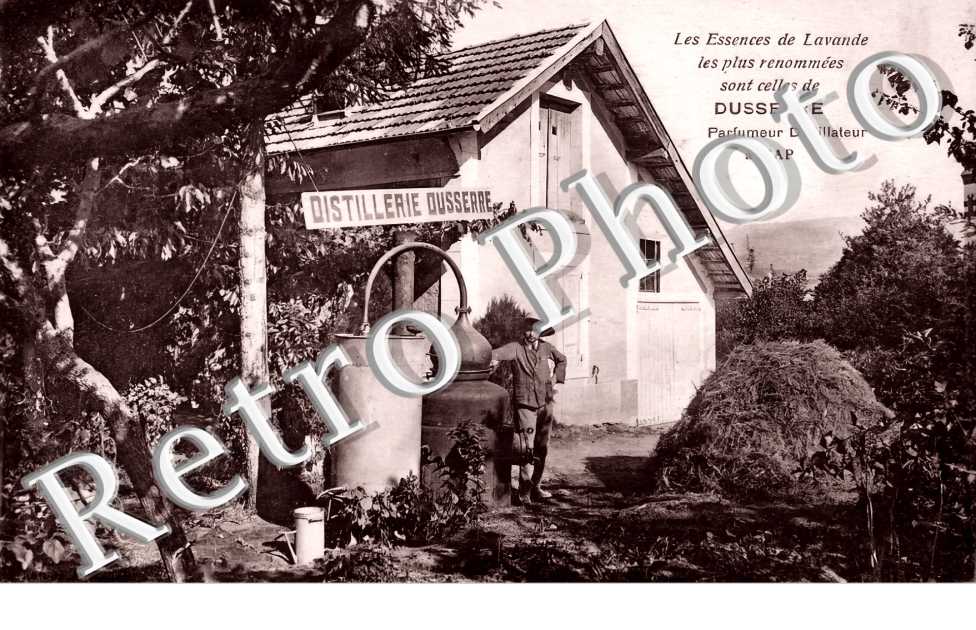 Les essences de Lavande. Distillerie Dusserre