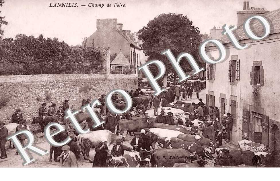 Champ de foire