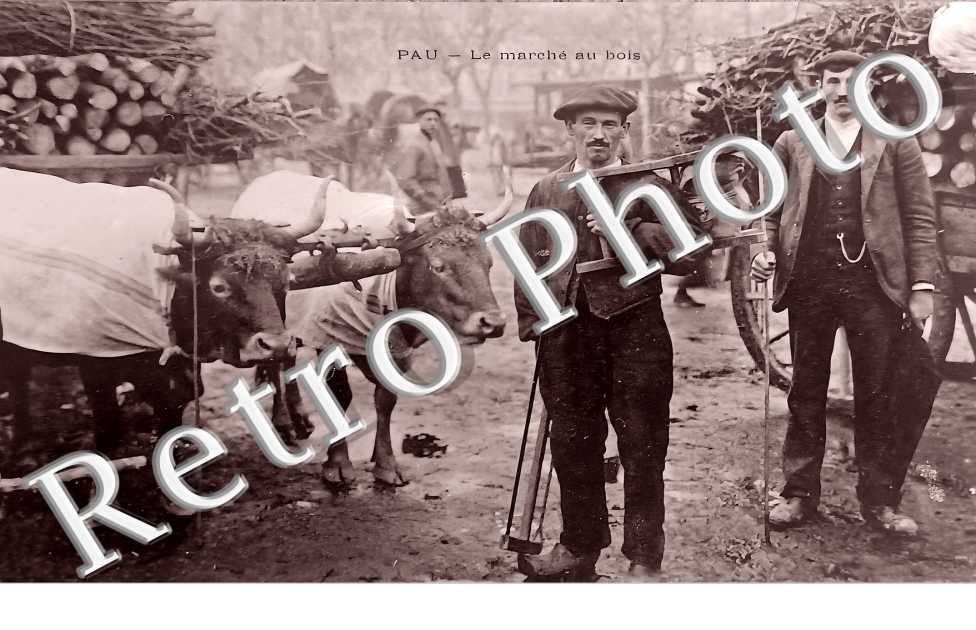 le marché au bois