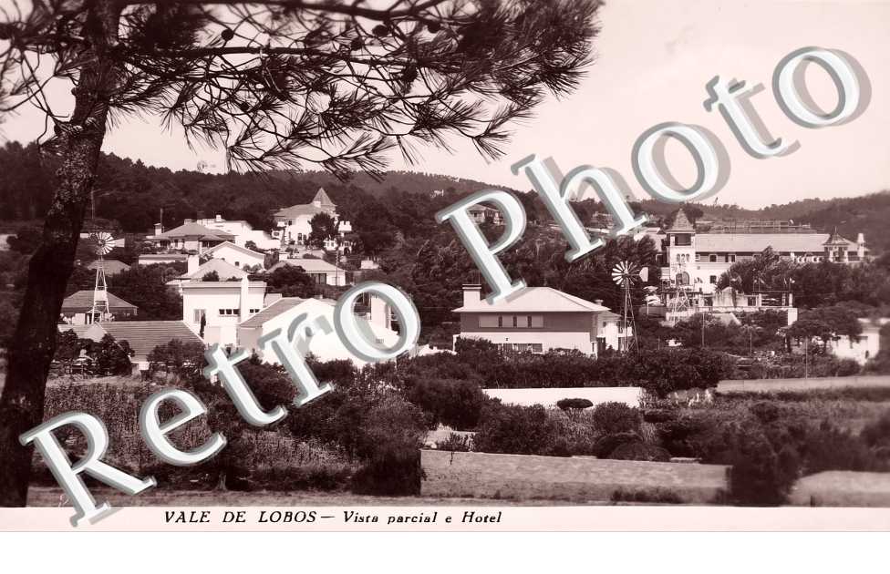(sans légende)