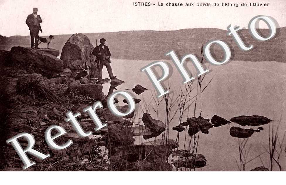 La chasse aux bords de l'Etang de l'Olivier