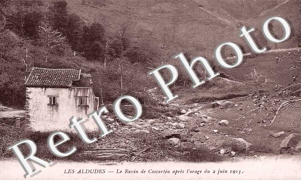 (sans légende)