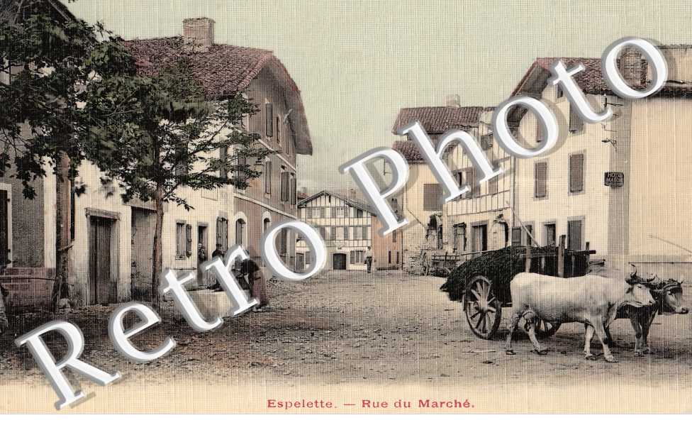 (sans légende)