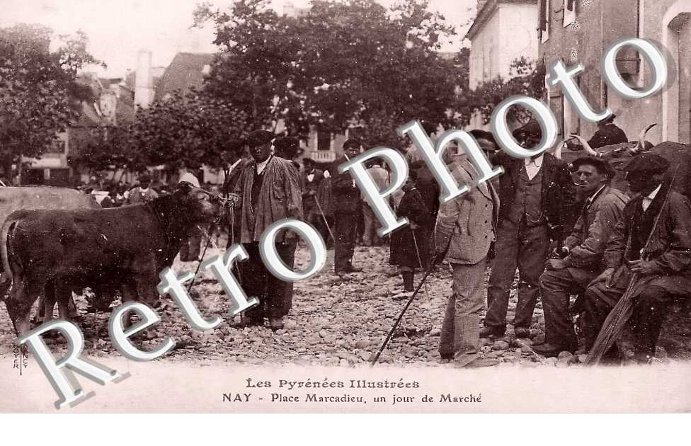 (sans légende)