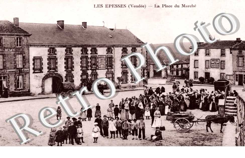 (sans légende)