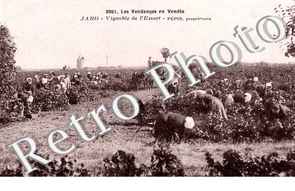 (sans légende)