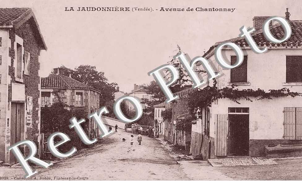 (sans légende)