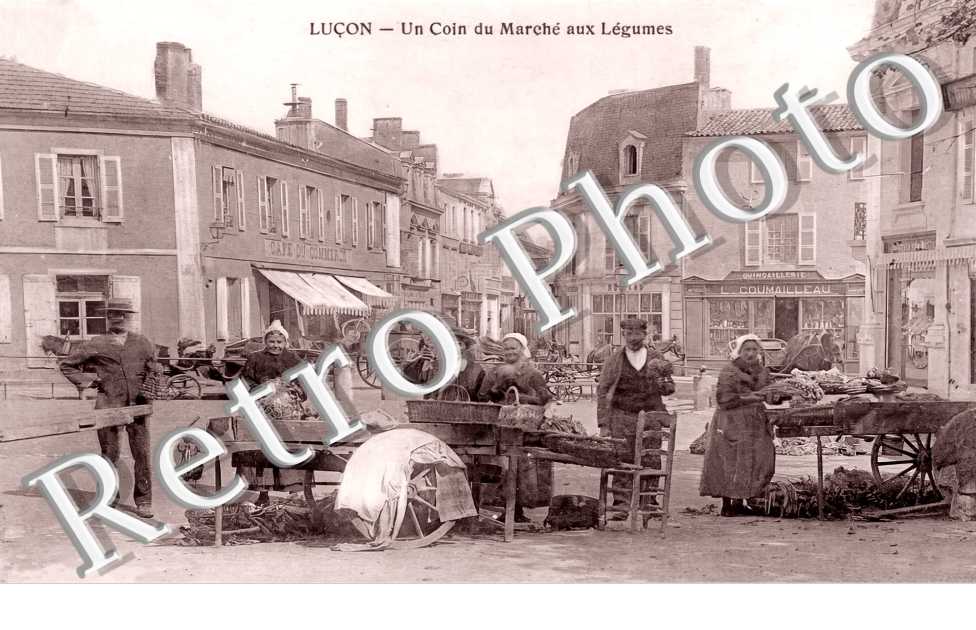(sans légende)