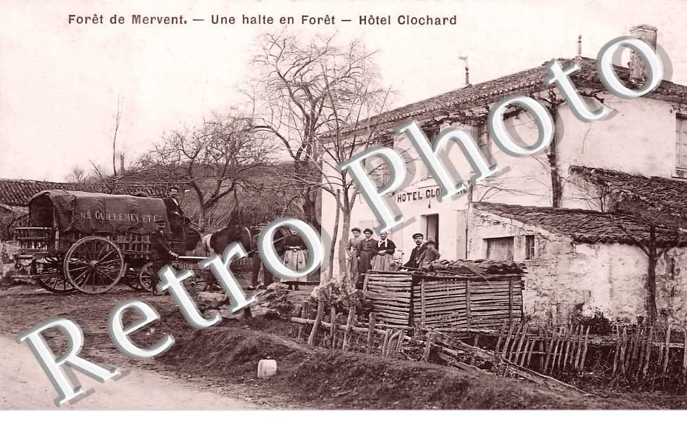 (sans légende)