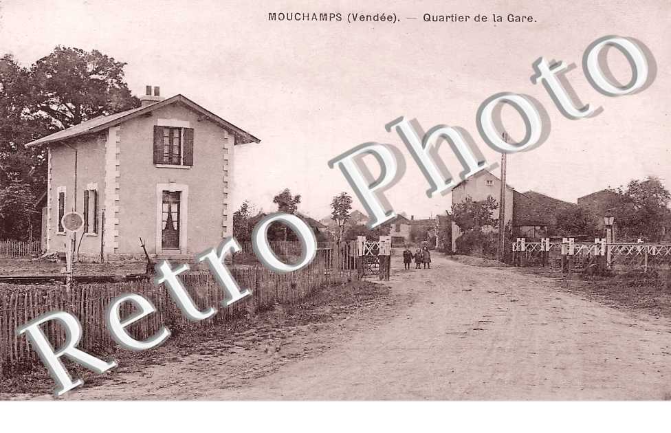 (sans légende)