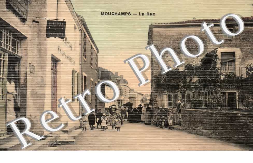 (sans légende)