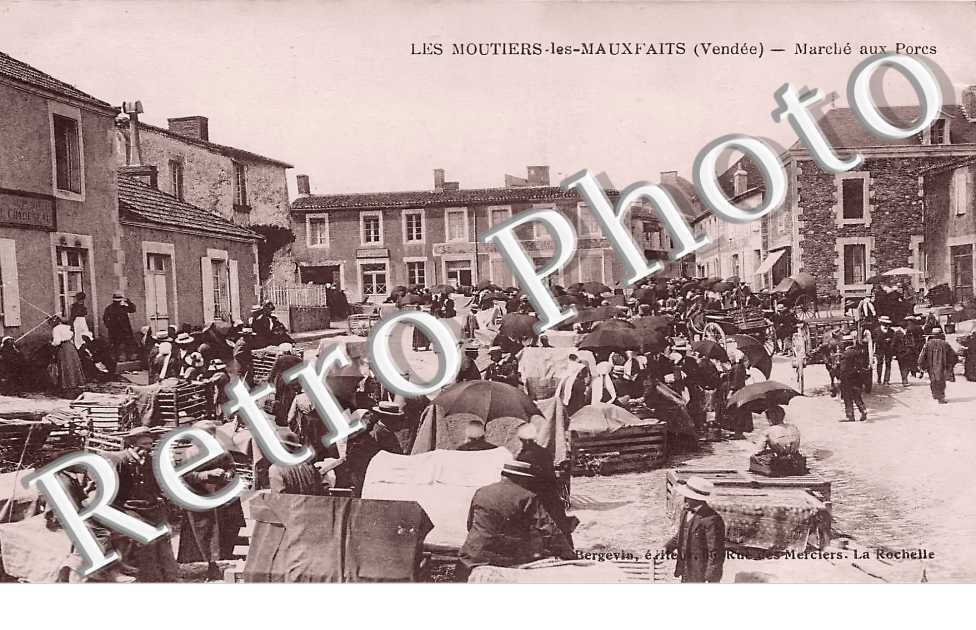 (sans légende)