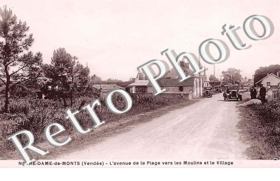 (sans légende)