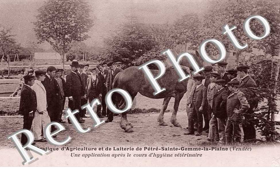 (sans légende)