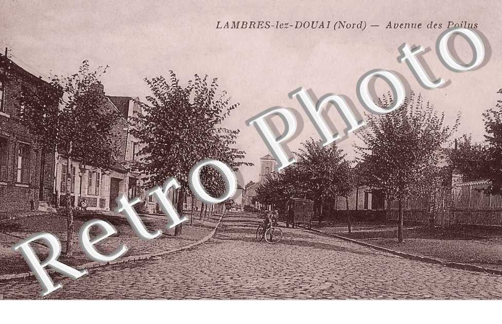 (sans légende)