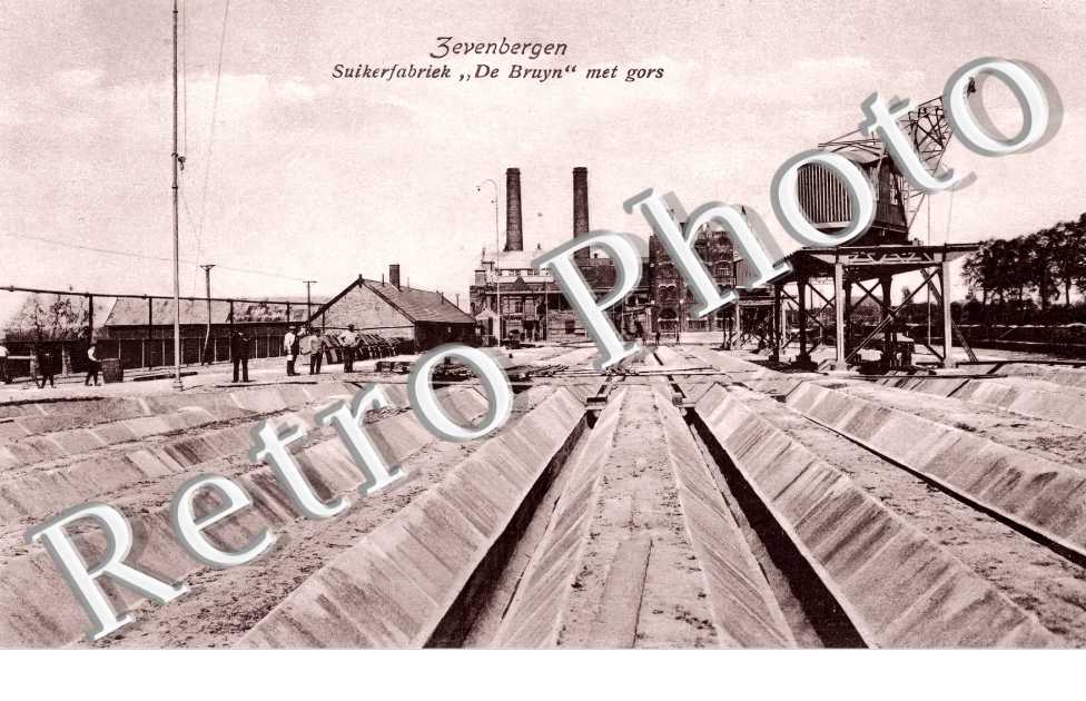 (sans légende)
