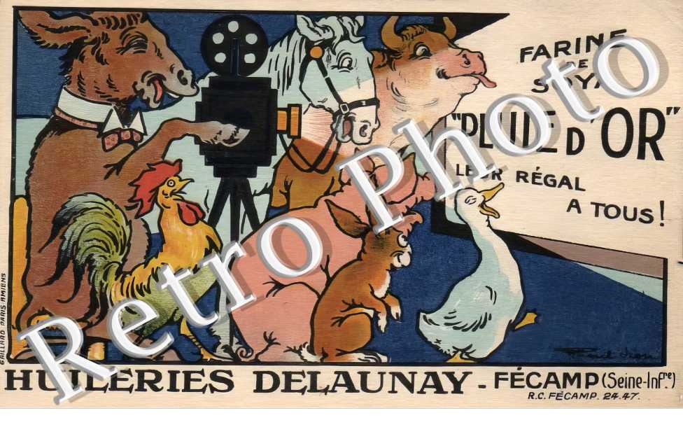 (sans légende)