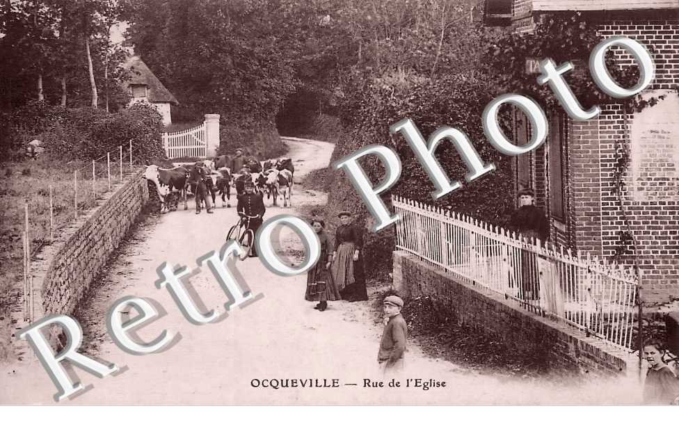 (sans légende)