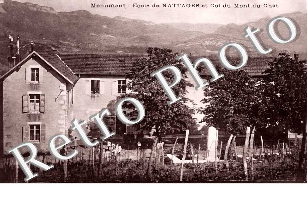 (sans légende)