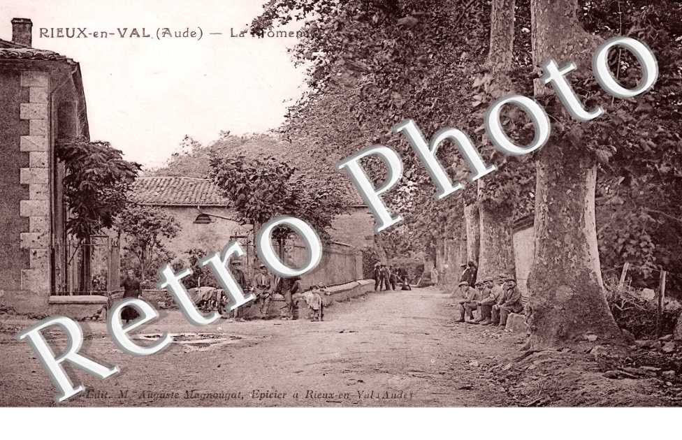 (sans légende)