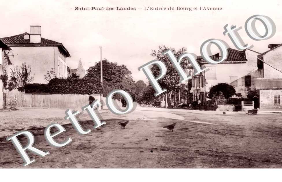 (sans légende)