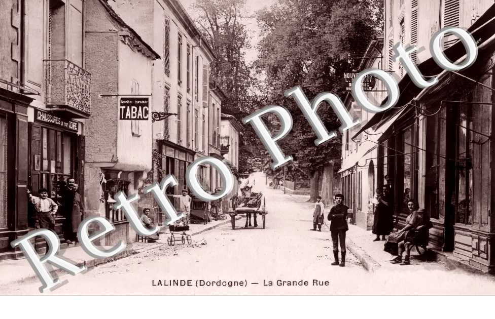 (sans légende)
