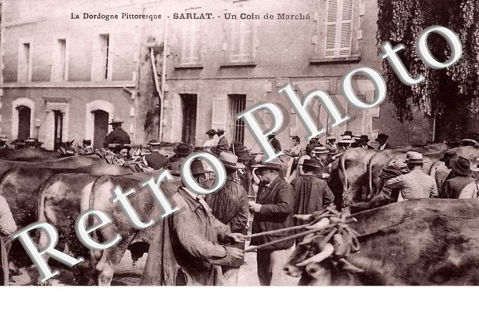 (sans légende)