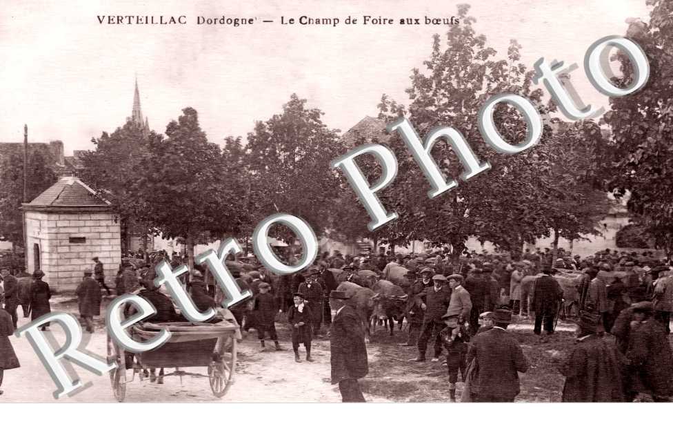 (sans légende)