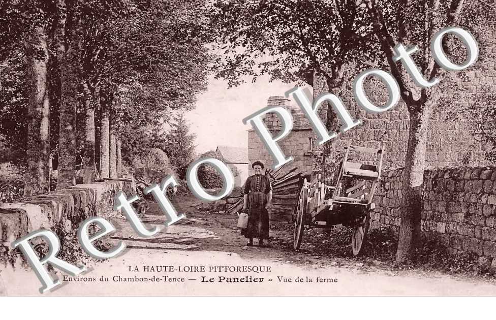 (sans légende)