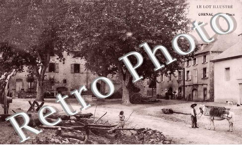(sans légende)