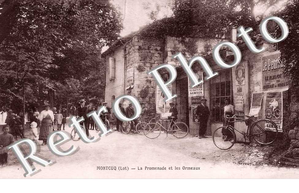 la Promenade et les Ormeaux