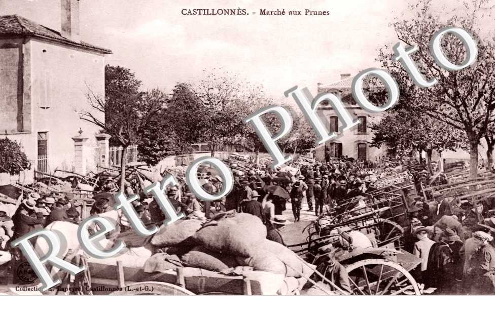 (sans légende)