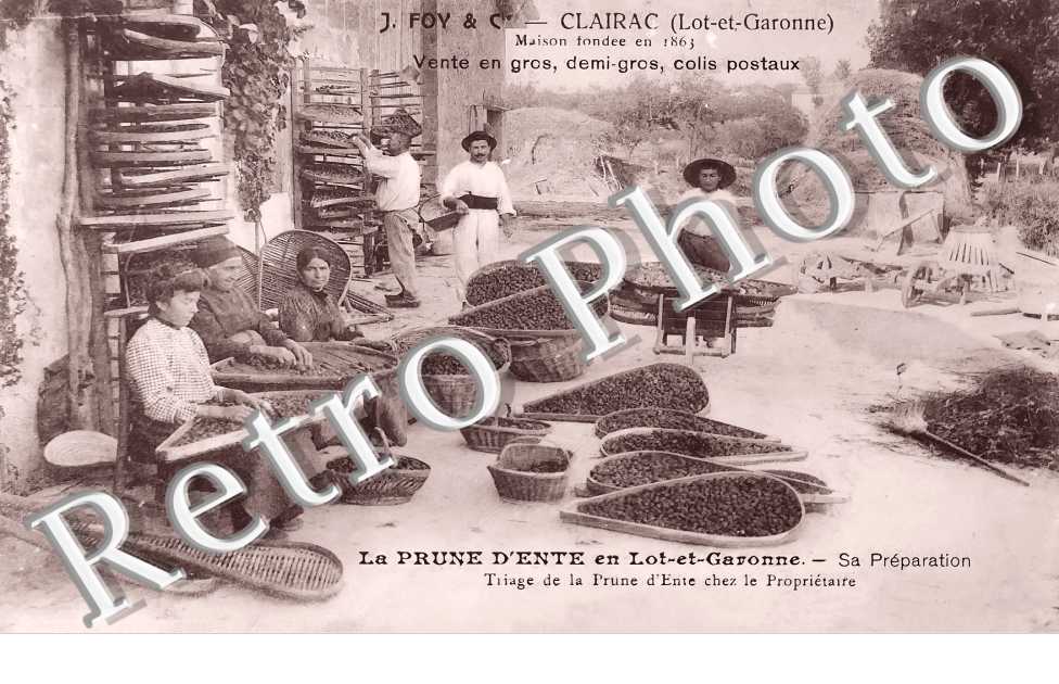 (sans légende)