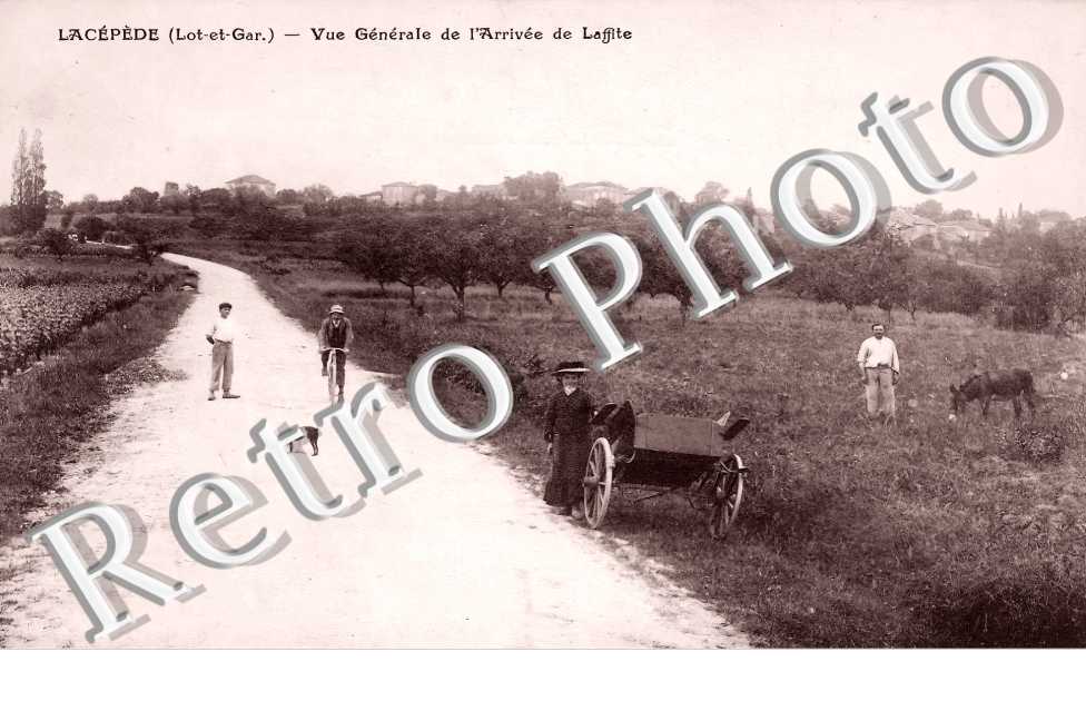 (sans légende)