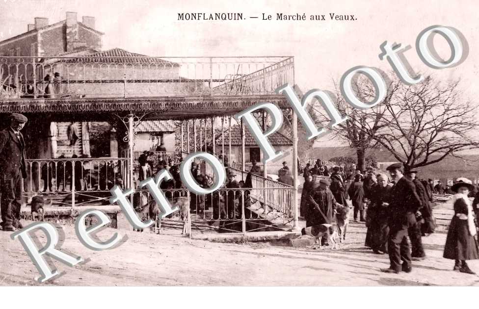 (sans légende)